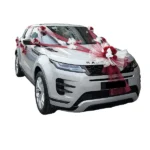 WEDDING CAR DECORATION